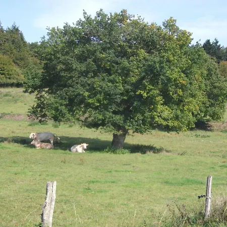 La Petite Pataudiere Holiday home *