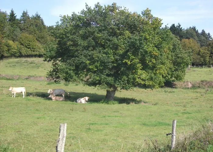 La Petite Pataudiere 度假居 *