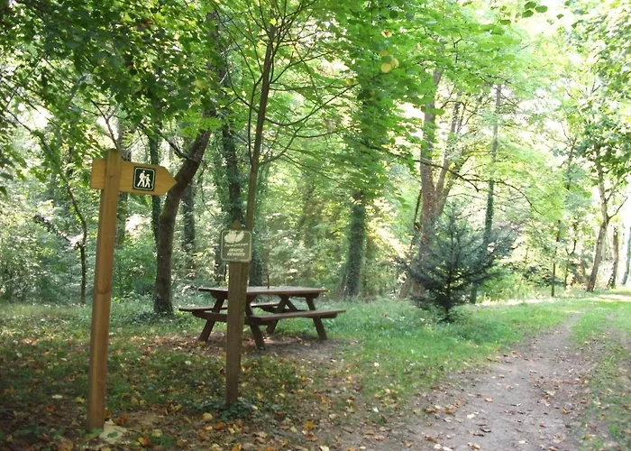 La Petite Pataudiere * Le Guedeniau